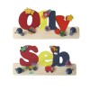 Personalised Coat Hook/Peg (bright colours)