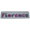 Name Tray Puzzle