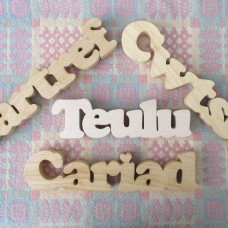 Chunky Wooden Words